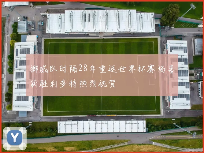 挪威队时隔28年重返世界杯赛场喜获胜利多特热烈祝贺